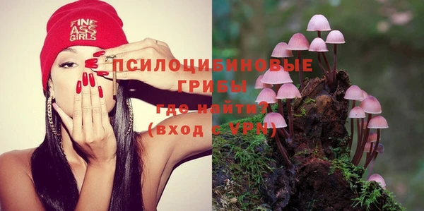 крисы Осинники