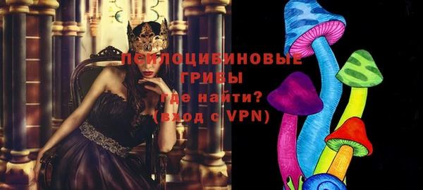 гидропоника Вяземский