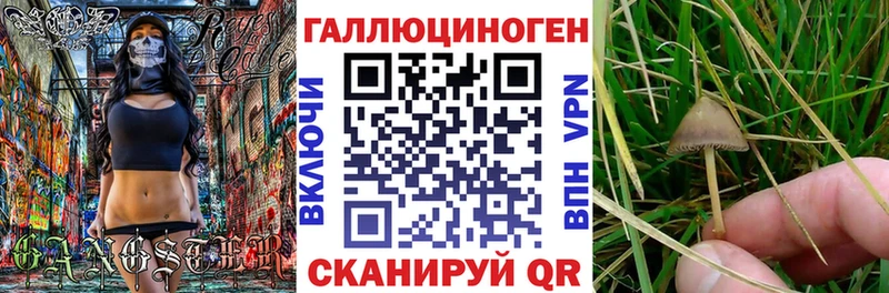 Псилоцибиновые грибы мухоморы  Данилов 